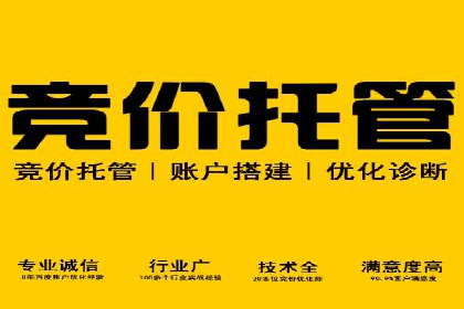 百度运营推广策略解析，看这些成功案例